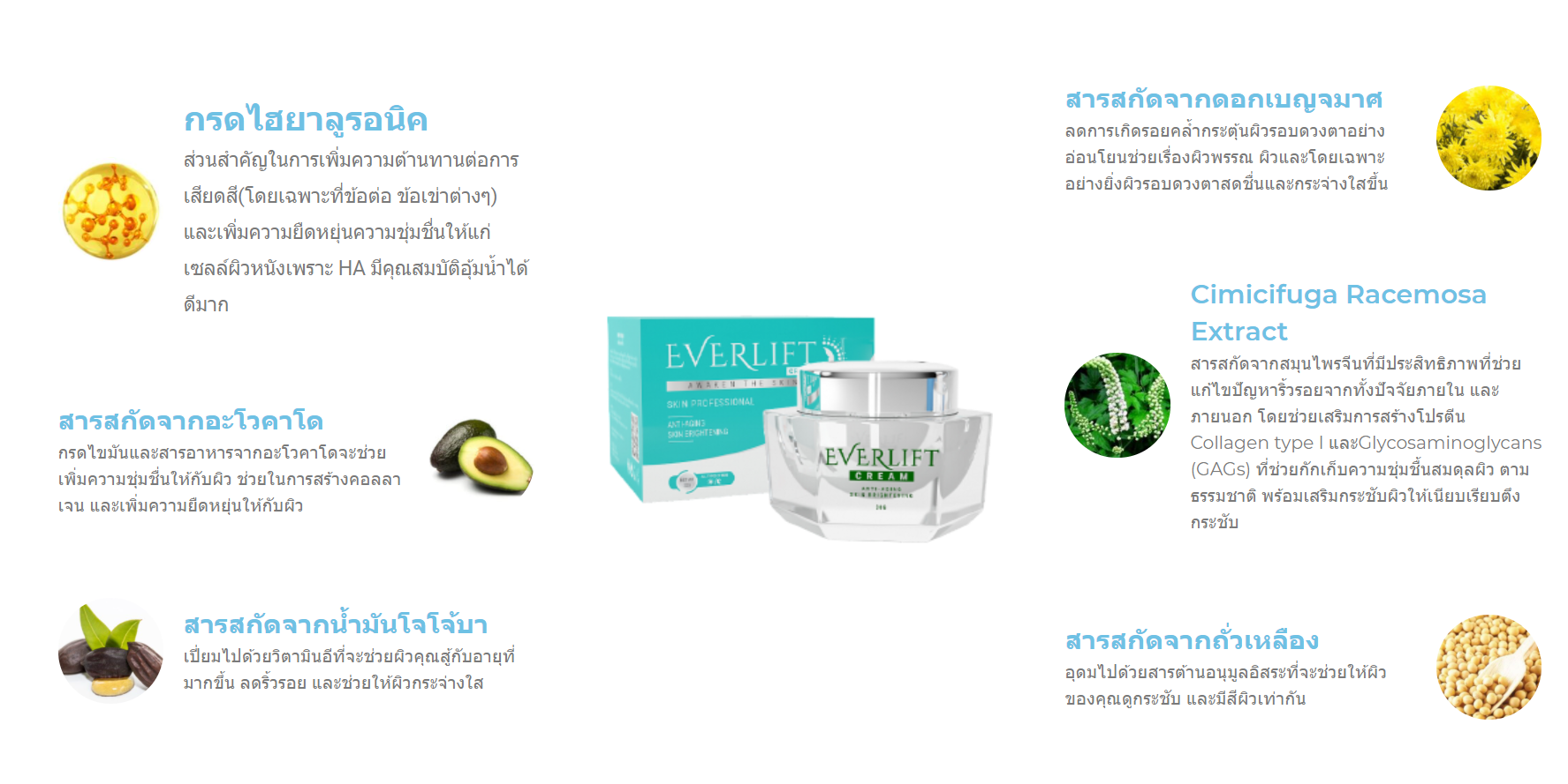 Everlift Cream ส่วนประกอบในผลิตภัณฑ์